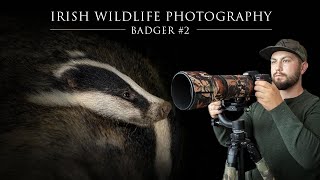 Badger #2 - Irish Wildlife Photography (Sigma 150-600) (Nikon D7500)