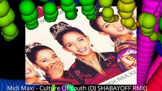 Midi Maxi - .Culture Of Youth (DJ SHABAYOFF RMX)