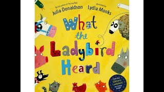 Reception Story Time Monday - ‘What the Ladybird Heard’ by Julia Donaldson