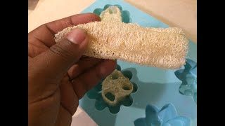 Harvesting and Making Soap with Real  Luffa Sponge