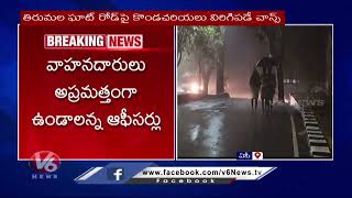 ఏపీ తిరుమల లో కుండపోత వాన | Andhra Pradesh | Heavy Rain | V6Digital