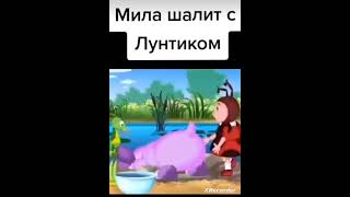 ЛАДНО ХОТЬ ТИМОХА, А ТЫ МИЛА ЧТО?