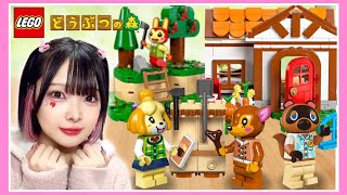 現実世界に『どうぶつの森』を作ってみた！？🌳🏠🍎【どう森】【たまちゃん】