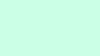 Soft Green/ Pastel Green Colour Screen Background 1 Hour 1080P HD