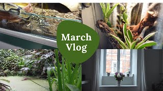 March Vlog: The Eden Project, Non-Fiction Reads and Tree Frogs