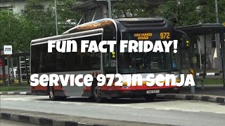 Fun Fact Friday! #155 - Service 972 Into Senja In 2015