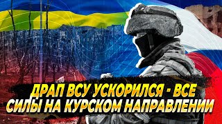 Наступление на Купянск - Драп ВСУ ускорился - Новости