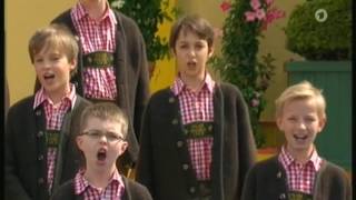 Tölzer Knabenchor - Rosen aus dem Süden