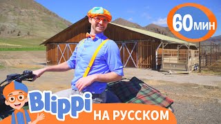 Кантри-Песня про Ранчо | Обучающие песни для детей | Blippi Russian