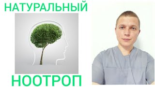 Бакопа Монье l Ноотроп l Улучшить память Bacopa Monnieri  - Nootropics