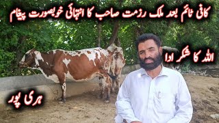 Very Useful And Beautiful Message Share to You By Malik Razmat from Haripur || My Life Channel