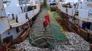 American Fishermen Use Robots to Catch Hundreds of Tons of Fish This Way - Trawler fishing at Sea