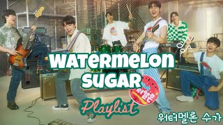 Twinkling watermelon 🍉 (반짝이는 워터멜론) band - watermelon sugar - playlist