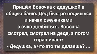 Вовочка с Дедушкой в Общей Бане! Вововочка в Шоке! Сборник Самых Свежих Анекдотов! Юмор!