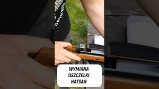 Wiatrówka Hatsan 95 & wymiana uszczelki