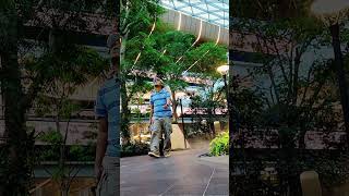 Amazing Tropical Greenery Orchard at Hamad International Airport Doha Qatar