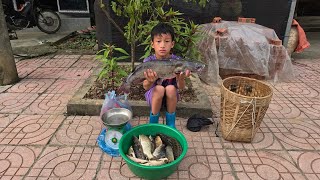 fish highland boy khai fishing trap Harvesting stream fish for sale after typhoon yagi circulation