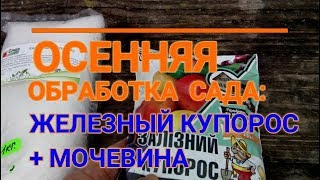 🍁📌ОСЕННЯЯ ОБРАБОТКА САДА МОЧЕВИНОЙ И ЖЕЛЕЗНЫМ КУПОРОСОМ