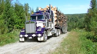 Kenworth W900L Ontario Logger