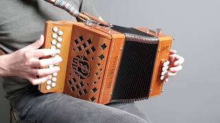 Geese In The Bog / Carraroe Jig (BC Irish accordion)