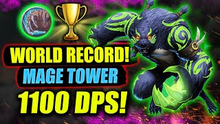 Guardian Druid Mage Tower Boost WORLD RECORD! | 1.1k DPS | PoV Guide WoW Dragonflight 10.0.5