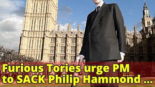 Furious Tories urge PM to SACK Philip Hammond if he won't stop 'freelancing' on Brexit as David Davi