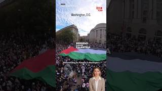 Demo Dukung Palestina di Washington DC USA | #beritaterkini #news #usa #palestine #palestina #shorts