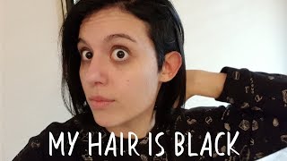 I've Dyed My Hair Black | Vlog