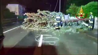 Ponderano: albero si abbatte su auto e cavi della luce. Vigili del Fuoco per la messa in sicurezza