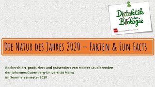 Libelle des Jahres 2020 - Ein Erklärvideo (nicht nur) für Schüler*innen