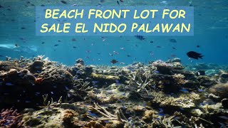 #06 HOLD - BEACH FRONT LOT for Sale in El Nido Palawan Philippines