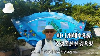 (2.7K 트레킹) 하나개해수욕장 ~호룡곡산 산림욕장 4.7km 완주하다  2024.10.17.