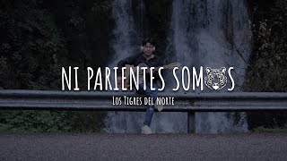 Ni parientes somos / Bajo Quinto / Cover