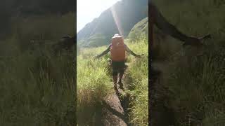 sabana  jalur TOREAN G Rinjani #shorts