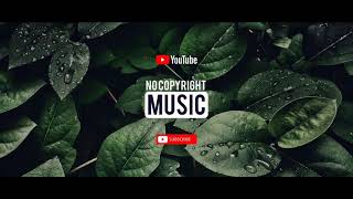 Free Music Dark Synthwave Headlights in the Fog by Karl Casey Royalty Free No Copyright Music