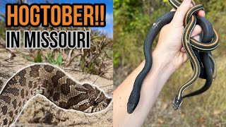 Hogtober Herping in Missouri! A LOT of Snakes and The Floor is Salamanders!