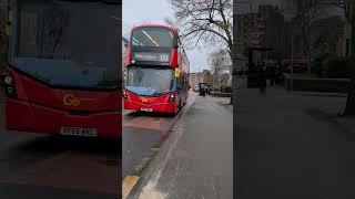 GAL WVL79 at Shotfield #bus #transport #the #tflers #south #shortvideo #shortsvideo #short #shorts