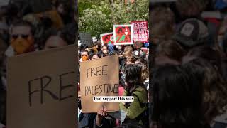 Pro-Palestine protests at USA University | #shorts |