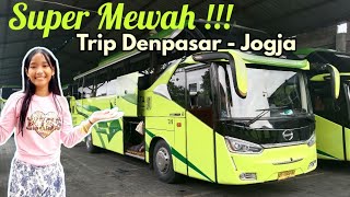 Bus Bali Jogja tempat duduk sendiri | Bus Tami Jaya Executive Class Jogja Denpasar.