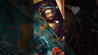 💙Lord Buddha status Video #shortsfeed #shorts #youtube