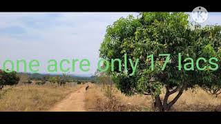 #mangofarmforsaleintheni #farmlandforsaleintheni #lowbudget #theni #landforsale  cont 8072660564