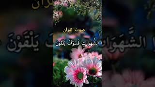 #quranrecitation #tilawatequran #shortclip #youtuberchannel #subscribe #love #روائع