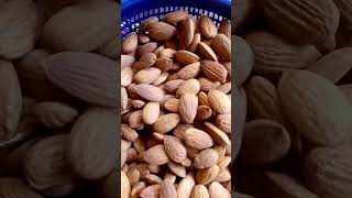 Almond/healthy dry fruits /badam/#shorts #viral #trending #goodtipsbd