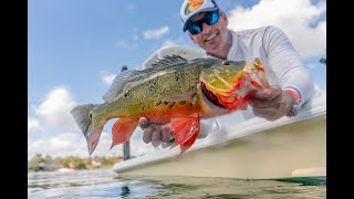 Peacock Bass, Largemouth Bass, Sailfish and Mahi in Miami Fishing Video