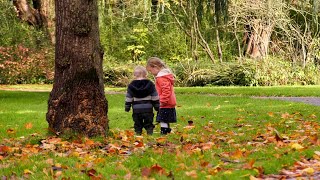 herfst in het wantijpark (panasonic HC-X1 footage)