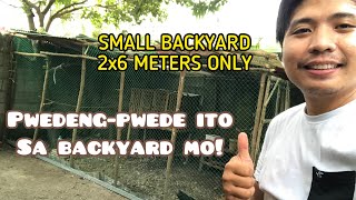 Small Free Range  Backyard with Net | Magkano Ang Gastos | Paano Makatipid