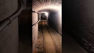 Exploring the coal tunnel at The Elms