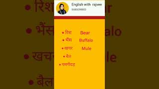 daily use english vocabulary | english speaking | learn english #Shorts #animals