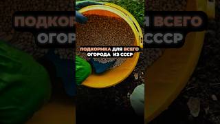 ПРОСТАЯ ПОДКОРМКА ИЗ СССР для всего ОГОРОДА #урожай #дача #огород #подкормкарассады