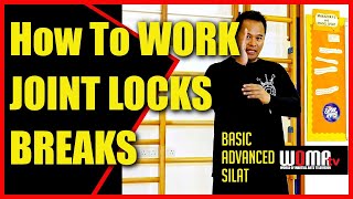 How To WORK JOINT LOCKS BREAKS Pt 1 SILAT